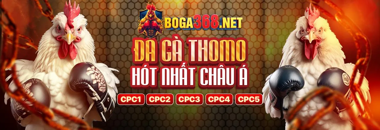 Sân đá gà trực tuyến sôi động tại Typhu88