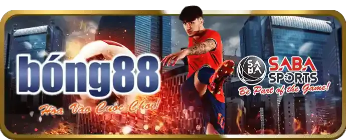 Tải app typhu88 cho di động